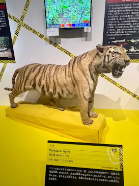 特別展「超危険生物展　科学で挑む生き物の本気」に投稿された画像（2026/3/29）