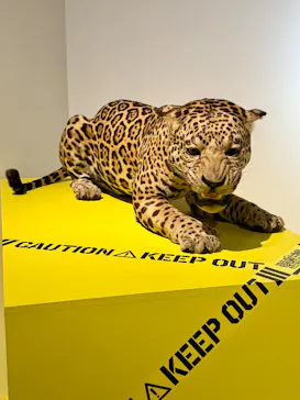 特別展「超危険生物展　科学で挑む生き物の本気」に投稿された画像（2026/3/29）