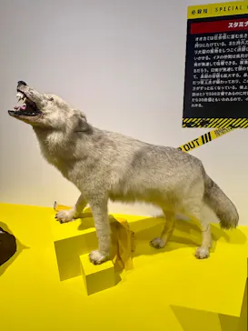 特別展「超危険生物展　科学で挑む生き物の本気」に投稿された画像（2026/3/29）