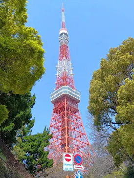 東京タワーに投稿された画像（2026/3/29）