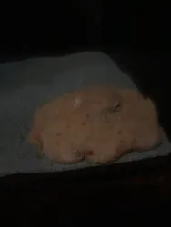 サンシャイン水族館に投稿された画像（2026/3/29）