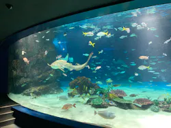 サンシャイン水族館に投稿された画像（2026/3/29）