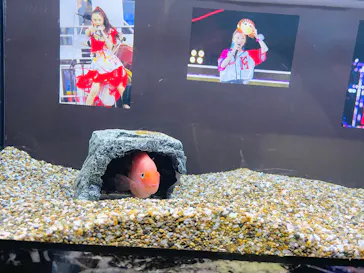 マクセル アクアパーク品川に投稿された画像（2026/3/29）