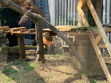 恩賜上野動物園に投稿された画像（2026/3/29）