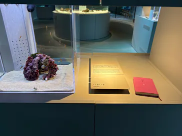 AOAO SAPPOROに投稿された画像（2026/3/29）