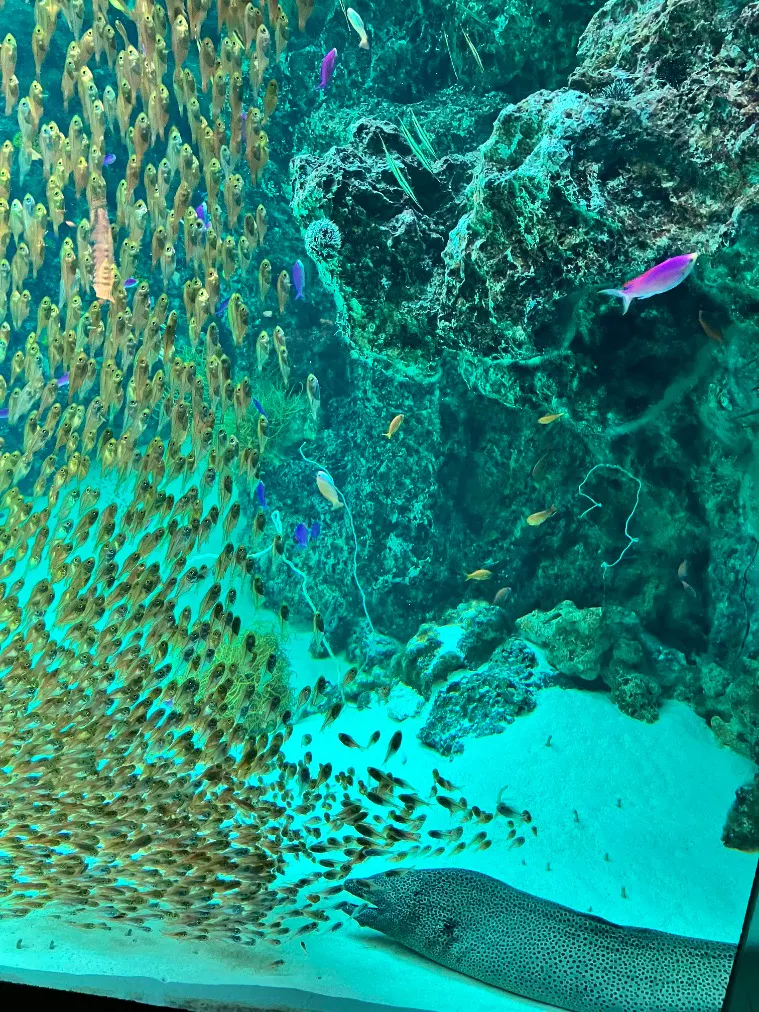 環境水族館アクアマリンふくしまの口コミ ｜館内はもちろん、わくわく