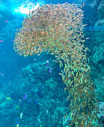 環境水族館アクアマリンふくしまに投稿された画像（2026/3/29）