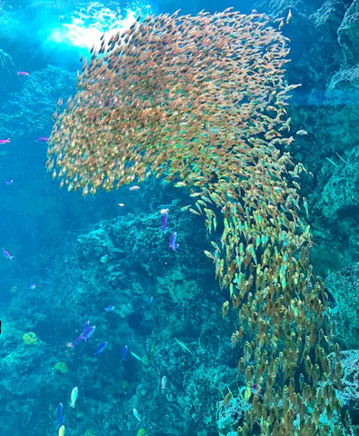 環境水族館アクアマリンふくしまの口コミ ｜館内はもちろん、わくわく
