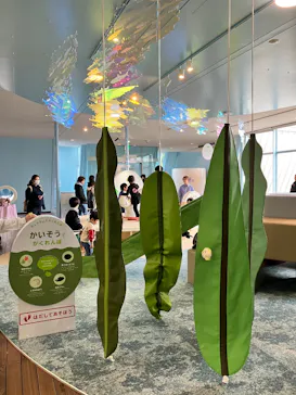 環境水族館アクアマリンふくしまに投稿された画像（2026/3/29）