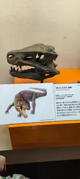 大絶滅展ー生命史のビッグファイブ（名古屋会場）に投稿された画像（2026/3/29）