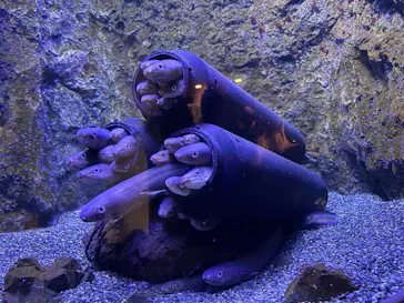 仙台うみの杜水族館に投稿された画像（2026/3/29）
