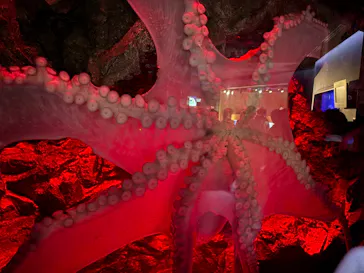 仙台うみの杜水族館に投稿された画像（2026/3/29）