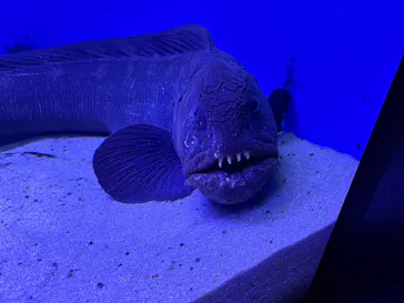 仙台うみの杜水族館に投稿された画像（2026/3/29）