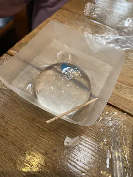 NIFREL（ニフレル）に投稿された画像（2026/3/29）