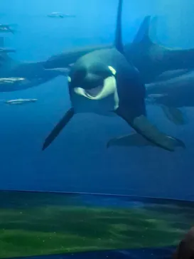 AOAO SAPPOROに投稿された画像（2026/3/30）