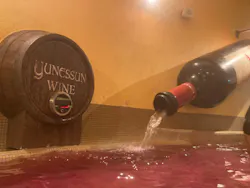 箱根小涌園ユネッサンに投稿された画像（2026/3/30）