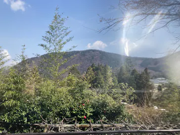 箱根小涌園ユネッサンに投稿された画像（2026/3/30）