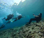 武藤潜水に投稿された画像（2026/3/30）