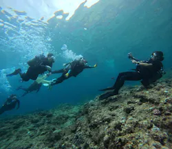 武藤潜水に投稿された画像（2026/3/30）