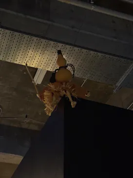 動き出す妖怪展 TOKYO 〜Imagination of Japan〜に投稿された画像（2026/3/30）