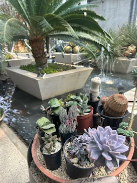 淡路夢舞台公苑温室あわじグリーン館に投稿された画像（2026/3/30）