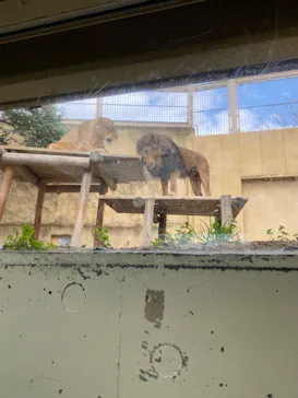 東武動物公園に投稿された画像（2026/3/30）