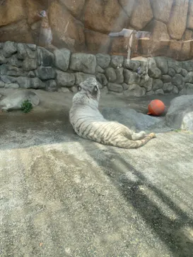 東武動物公園に投稿された画像（2026/3/30）