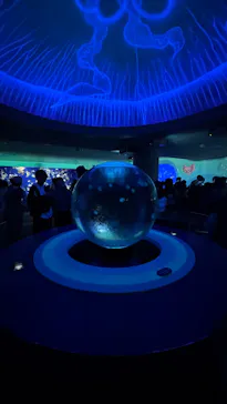 新江ノ島水族館に投稿された画像（2026/3/30）