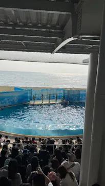 新江ノ島水族館に投稿された画像（2026/3/30）