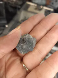 福井県立恐竜博物館に投稿された画像（2026/3/30）