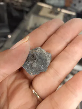 福井県立恐竜博物館に投稿された画像（2026/3/30）