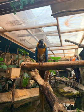 那須どうぶつ王国に投稿された画像（2026/3/30）