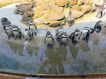 那須どうぶつ王国に投稿された画像（2026/3/30）