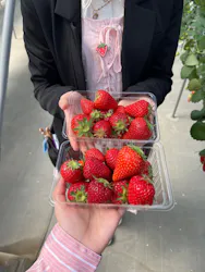 東松山市農林公園に投稿された画像（2026/3/30）