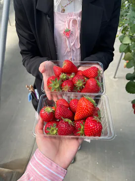 東松山市農林公園に投稿された画像（2026/3/30）