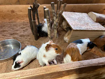 長崎バイオパークに投稿された画像（2026/3/30）