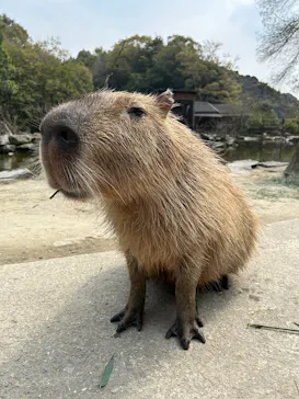 長崎バイオパークに投稿された画像（2026/3/30）