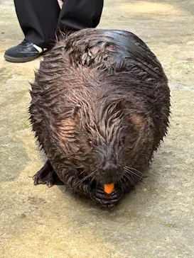 長崎バイオパークに投稿された画像（2026/3/30）