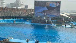 名古屋港水族館に投稿された画像（2026/3/30）