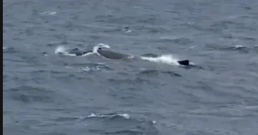 ON SHORE（オンショア）に投稿された画像（2026/3/30）