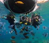 武藤潜水に投稿された画像（2026/3/30）