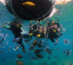 武藤潜水に投稿された画像（2026/3/30）