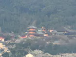 ニデック京都タワーに投稿された画像（2026/3/30）