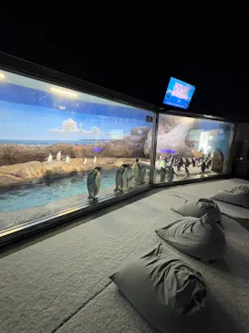 アドベンチャーワールドに投稿された画像（2026/3/30）