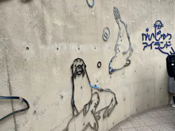 マリンワールド海の中道に投稿された画像（2026/3/30）