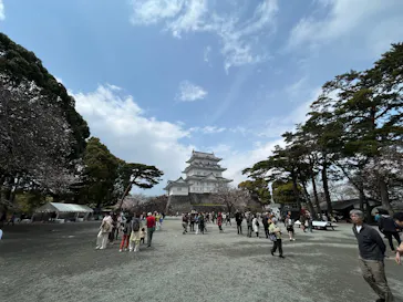 小田原城に投稿された画像（2026/3/30）