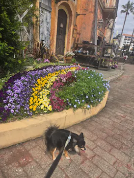 ポルトヨーロッパに投稿された画像（2026/3/30）