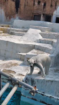 天王寺動物園に投稿された画像（2026/3/30）