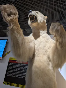 特別展「超危険生物展　科学で挑む生き物の本気」に投稿された画像（2026/3/30）