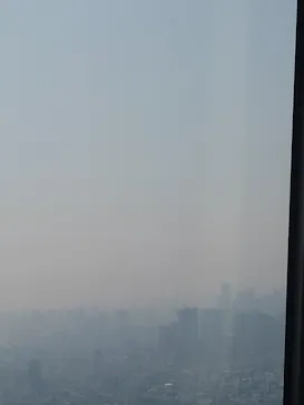 東京スカイツリーに投稿された画像（2026/3/30）